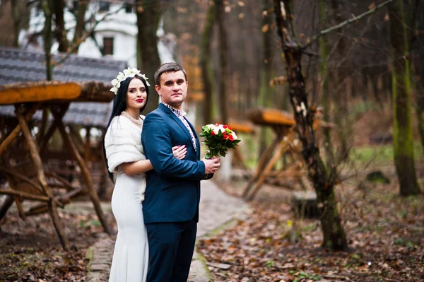 Graceful wedding couple background wood with no deciduous trees — Stock Photo, Image