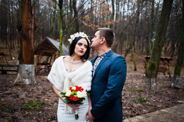 Anmutige Hochzeitspaar Hintergrund Holz ohne Laubbäume — Stockfoto