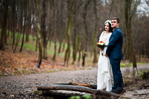 Χαριτωμένη γαμήλιο ζεύγος φόντο ξύλου με καμία φυλλοβόλα δέντρα — Φωτογραφία Αρχείου