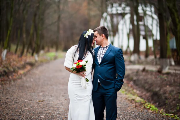 Sierlijke bruidspaar achtergrond hout met geen loofbomen — Stockfoto