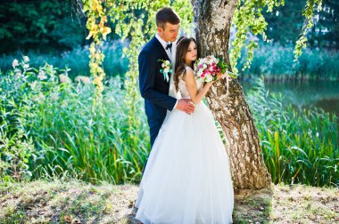 Huş ağacı yakınındaki genç Düğün çifti