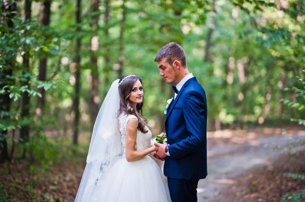 Young lovely wedding couple at the wood — Stock Photo, Image