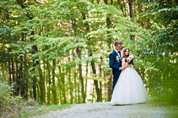 Giovane bella coppia di nozze al bosco — Foto Stock