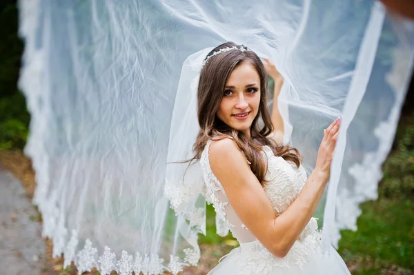 Young coquettish brunette bride play with veil — Stock Photo, Image