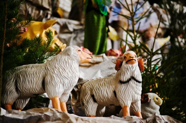 Très grande crèche de Noël. Jouet moutons — Photo