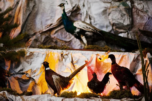 Zeer grote Kerstmis Geboortekerk kribbe — Stockfoto