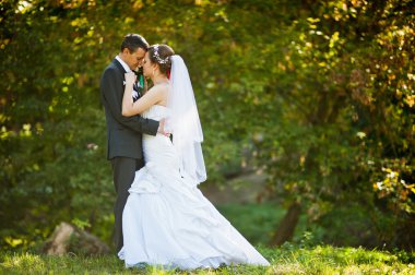 Gün batımında evlilik çift sarı sonbahar Park