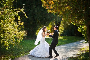 Gün batımında evlilik çift sarı sonbahar Park