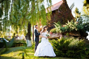 Yeni evliler arka plan eski ahşap değirmen