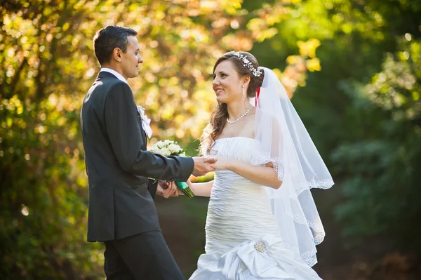 Pareja de boda al atardecer en el parque amarillo de otoño — Foto de Stock