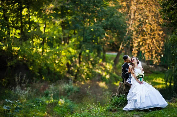 Casamento casal sentado em pedra no parque de outono — Fotografia de Stock