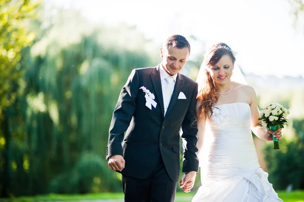 Matrimonio coppia sfondo fantastico grande salice — Foto Stock