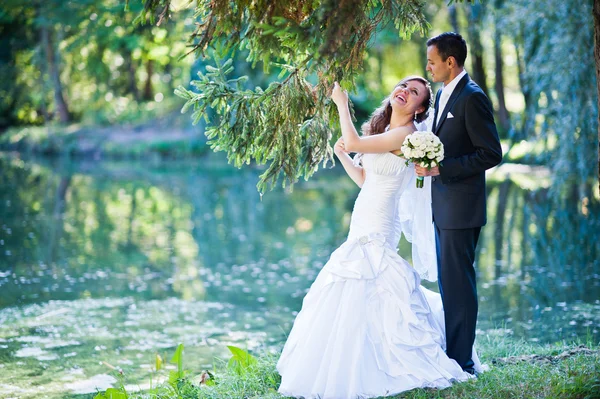 Pareja de boda adulta en el lago de fondo del parque — Foto de Stock