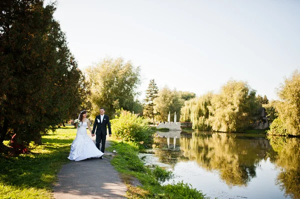 Volwassen bruidspaar in het park achtergrond lake — Stockfoto
