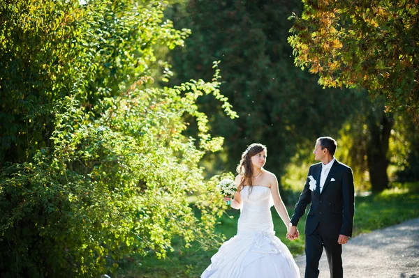 Matrimonio coppia al tramonto al parco giallo autunno — Foto Stock