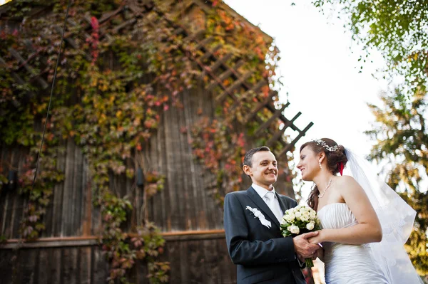 Newlyweds background old wooden mill — Stock Photo, Image