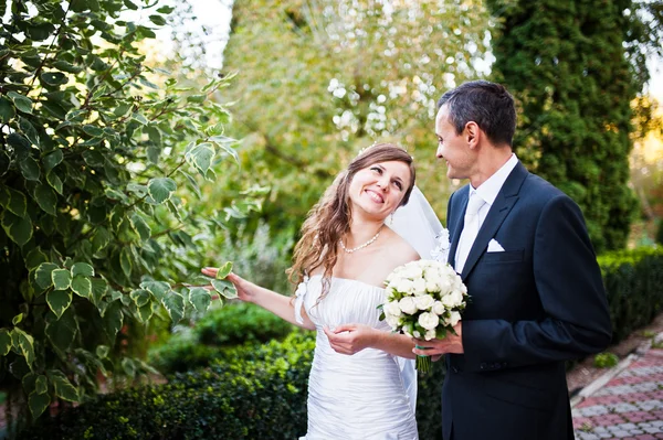 Pareja de bodas en el patio con plantas ornamentales y arbustos — Foto de Stock