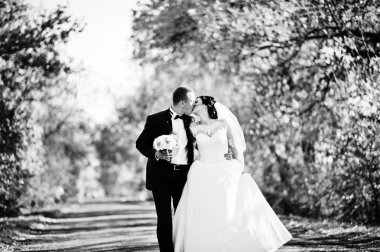 Yol arka plan güneşli sarı Reaply ile çift düğün