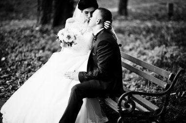 Parkta bankta oturan genç şık Düğün çifti