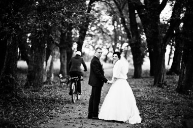 Düğün çifti içine bakmak Park'ta yürüyüş