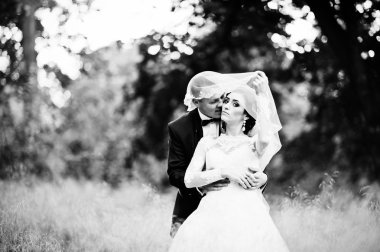 Düğün iki yüksek kuru ot içinde