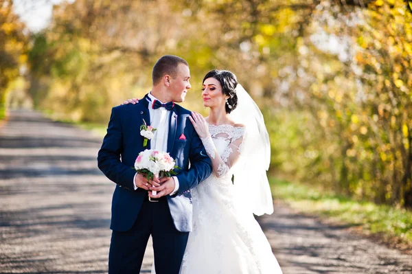 婚礼情侣路背景阳光明媚的日子与黄色的树叶 — 图库照片