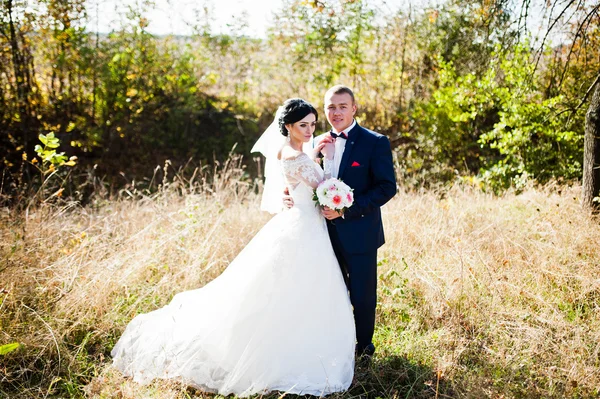 Joven pareja de boda con estilo en la hierba alta — Foto de Stock