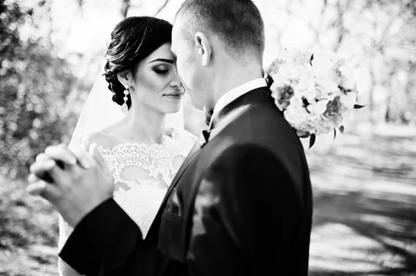 Portret van de jonge stijlvolle weding paar close-up — Stockfoto