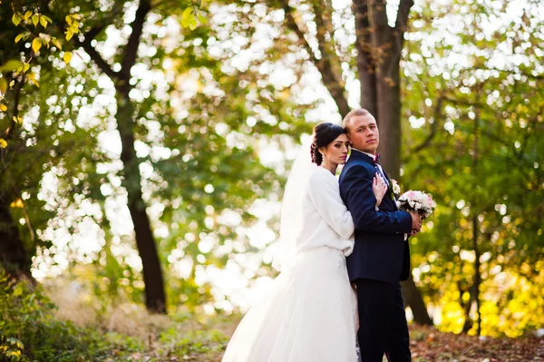 Joven pareja de boda con estilo al atardecer —  Fotos de Stock