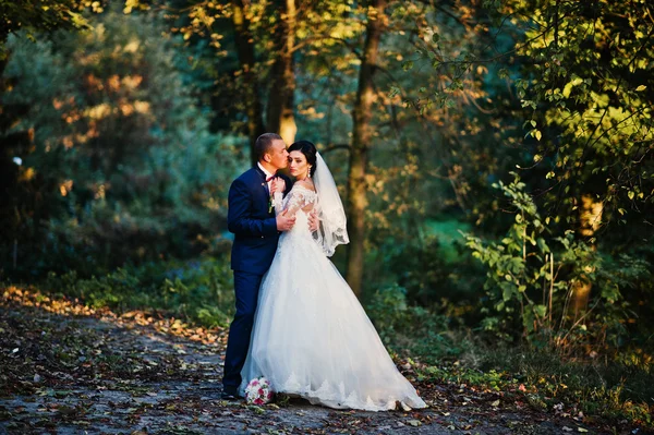 Fiatal stílusos esküvői pár a magestic fa — Stock Fotó