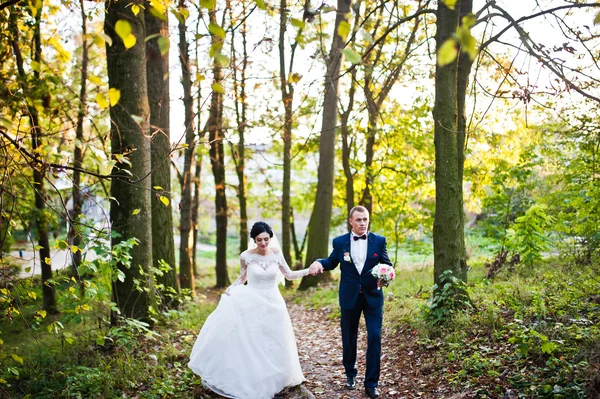 新婚夫妇在黄树林 — 图库照片