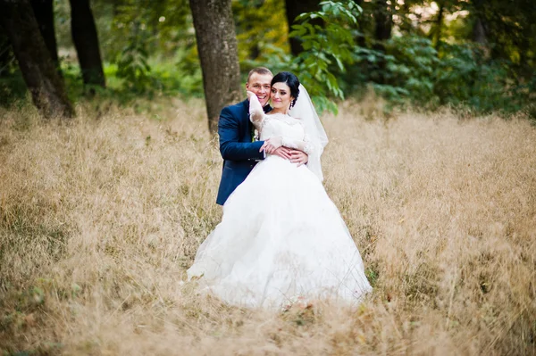 높은 마른 잔디에서 결혼식 한 쌍 — 스톡 사진