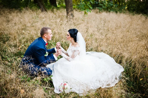 Couple de mariage dans l'herbe sèche haute — Photo