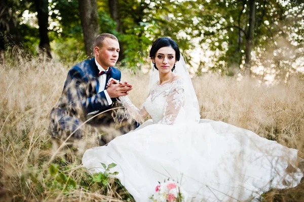 Свадебная пара в высокой сухой траве — стоковое фото