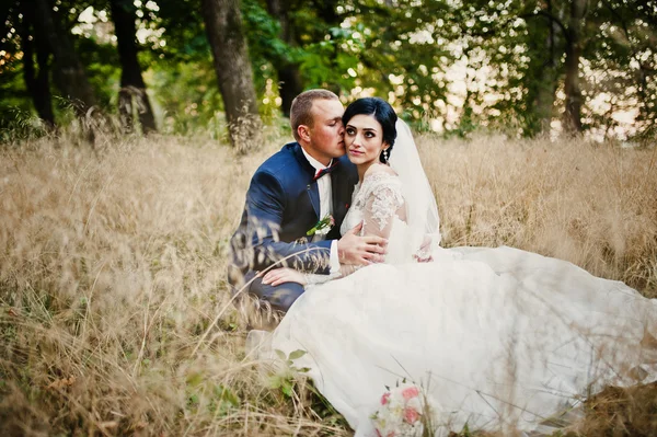 Wedding couple in high dry grass — Stock Photo, Image