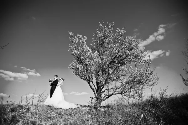 Чарівна наречена в вінку і елегантний наречений на пейзажах, поруч — стокове фото