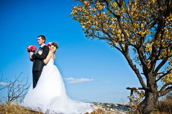 Mariée de charme dans une couronne et marié élégant sur les paysages, près de — Photo