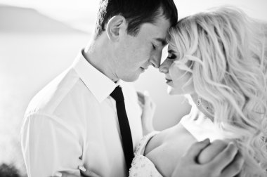 Close up portrait of charming bride and elegant groom on landsca