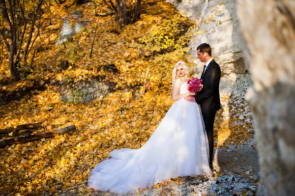 Okouzlující nevěsta a ženich elegantní na krajiny, hor, nea — Stock fotografie