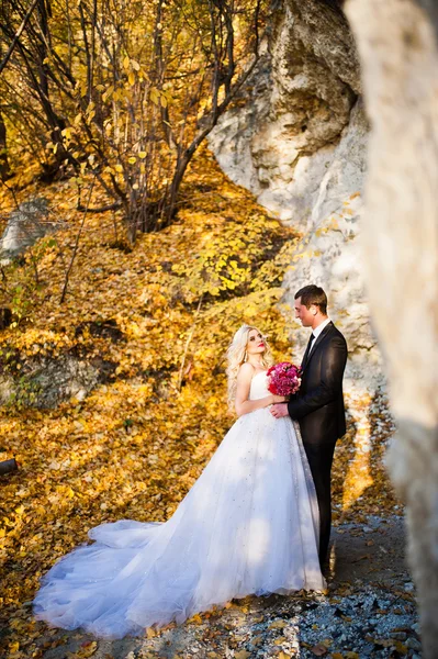 Encantadora novia y novio elegante en paisajes de montañas, nea — Foto de Stock