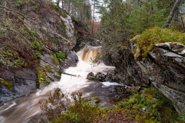 Bruar Şelalesinin bir parçası. Etrafında bitki örtüsü var.