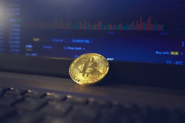 Laptop panelinde bir bitcoin var, şifreleme kurlarını değiştirme sayfası dizüstü bilgisayarın ekranında açık.