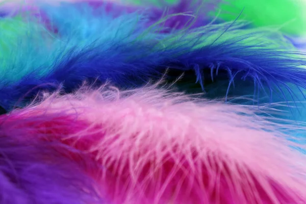 Very Beautiful Colorful Fluffy Wallpaper Soft Bird Feathers — Stok fotoğraf