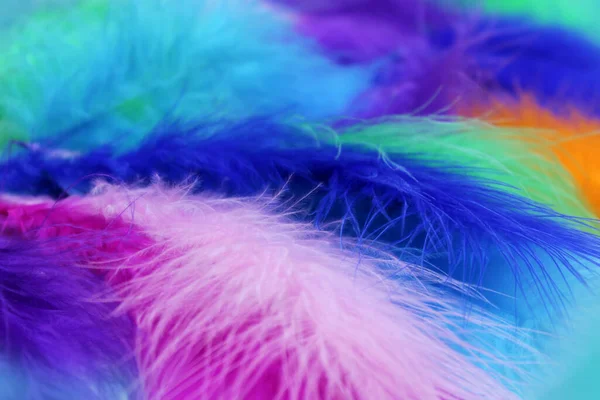 Very Beautiful Colorful Fluffy Wallpaper Soft Bird Feathers 로열티 프리 스톡 사진