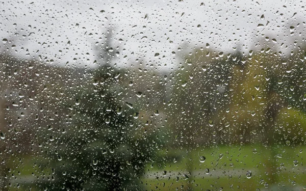 Natural landscape with a spruce top through a rain-dropped window glass. Photography of feelings and imagination.