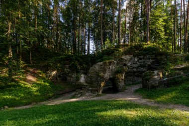 Parlak yeşil tonlu parlak doğa fotoğrafçılığı. Mağaraları ve taşları olan doğal bir nesne. Sıcak yaz, her şey yeşil. Bir sürü yaprak döken ağaç, yeşil çimen. Uçurumun ortasında bir geçit, bir kapı gibi..