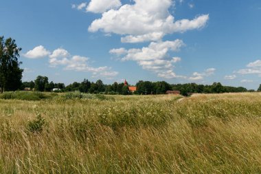 Green untouched field meadow with flowers, bent and grass. The wind is blowing. In the distance, the church and country houses. A classic wild and magical natural landscape in summer.