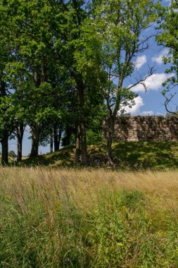Bright summer landscape. Green grass, meadow, deciduous trees, sun, ancient castle ruins, stone wall from the Middle Ages, when kings and queens ruled the world. Castle garden.