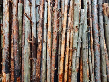 çam günlüklerinin arkaplanı