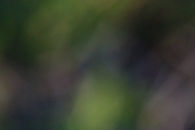 Bulanık nötr arka plan. Bulanık arkaplan.